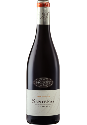 Domaine Vincent & Sophie Morey Santenay Les Hates Blanc 2019-441533