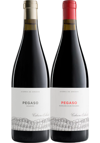 Pegaso Granito+Pizarra 2021 - Twin Pack-310749