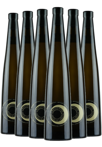Ceretto Moscato d'Asti 2024 - 6 Bottle Pack-BP_130371