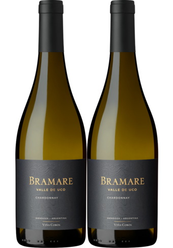 Vina Cobos Bramare Chardonnay Valle De Uco 2023 2-pack-130814