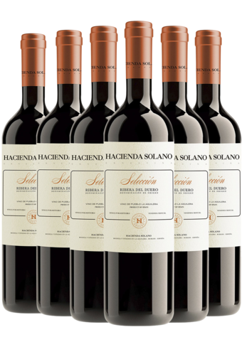 Hacienda Solano Seleccion 2023 - 6 Bottle Pack-BP_129977