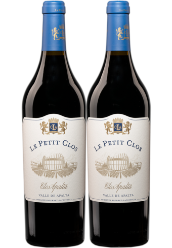 Clos Apalta Le Petit Clos 2021 2-pack-152526