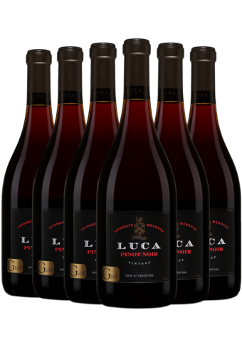 Luca G Lot Pinot Noir 2023 6-pack-152518