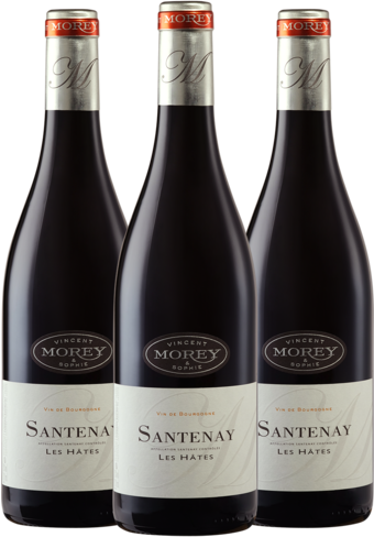 Sophie & Vincent Morey Santenay Les Hates Rouge 2021 - 3 Bottle Pack-BP_134106