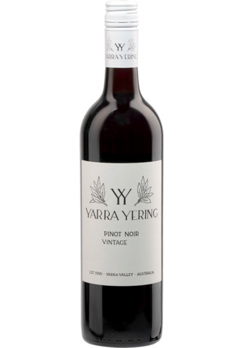 Yarra Yering Pinot Noir 2024-BP_401553
