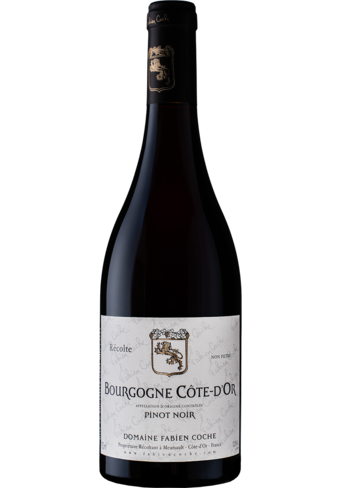 Domaine Fabien Coche Bizouard Bourgogne Rouge 2021-129865