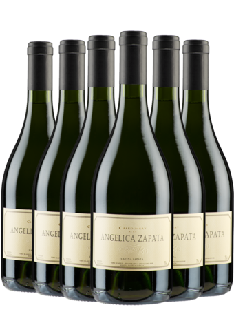 Angelica Zapata Chardonnay Alta 2023 6-pack-152804