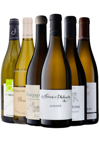 WW Mix Case Aligote 6 Producers-152723