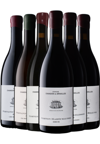 Chandon de Briailles Discovery of The Estate-152720